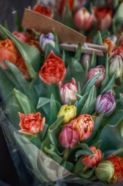 A bright, cheerful bouquet of freshly cut tulips in soft spring colours