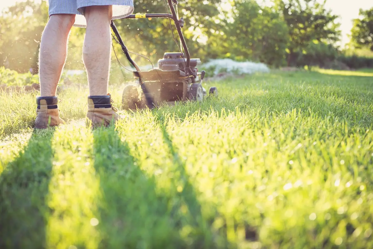 A gardener in work boots pushing a mower across a sunlit lawn, leaving fresh stripes behind