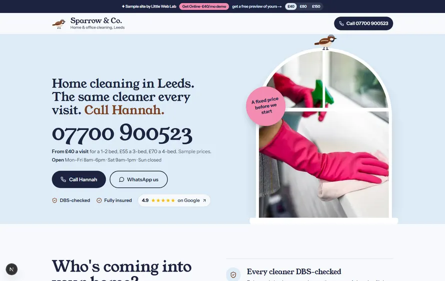 Sparrow & Co. Cleaning — Cleaner website built by Little Web Lab